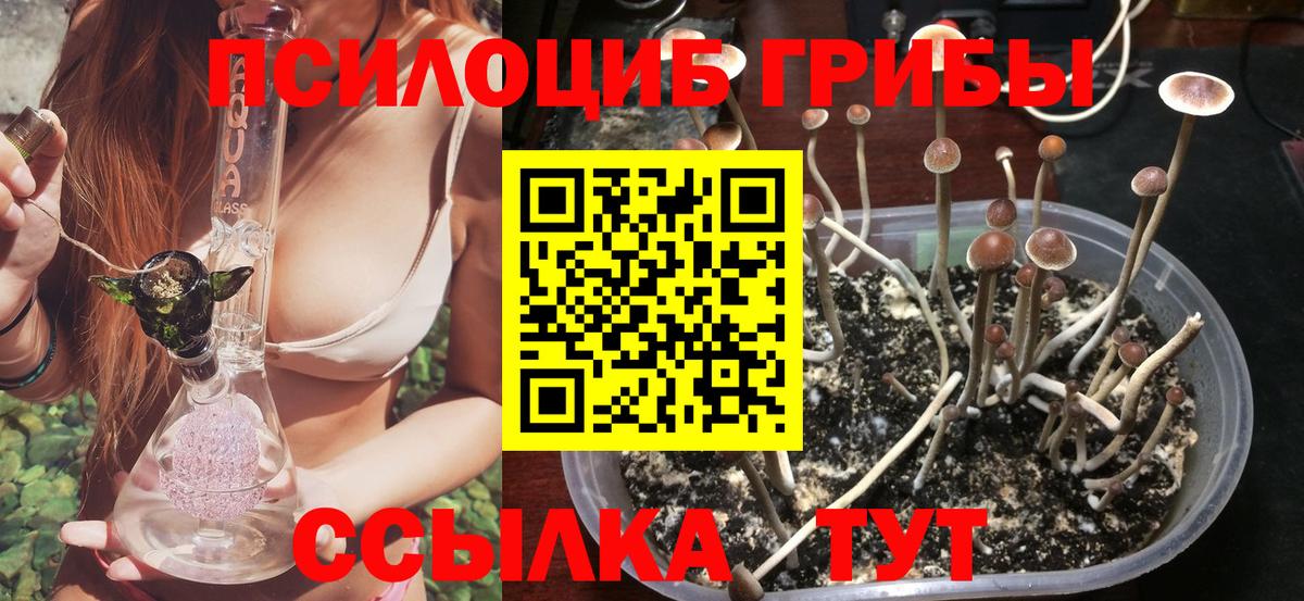 Псилоцибиновые грибы мицелий  Вход с VPN  Людиново  Галлюциногенные грибы GOLDEN TEACHER 
